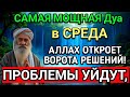 САМАЯ СИЛЬНАЯ Дуа в СРЕДА В МЕСЯЦА МУХАРРАМ! РИЗК, БОГАТСТВО, УСПЕХ, СЧАСТЬЕ!
