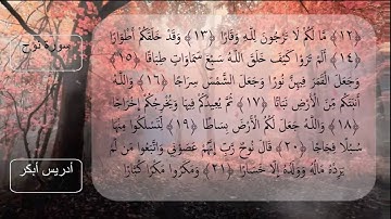 سورة نوح للقارئ الشيخ إدريس أبكر