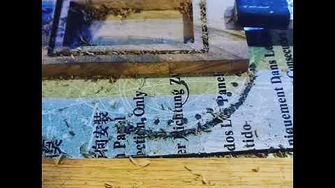 Stepcraft M.1000 - best cnc router