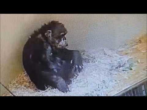 ZOO KREFELD -