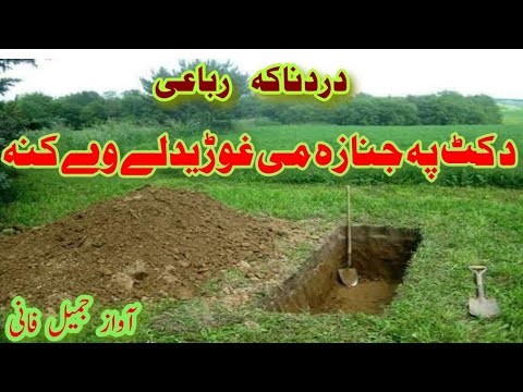 ڈیرہ ڈردناکہ رباعی د کٹ پہ جنازہ می غوڑیدلے وے کنہ آواز جمیل فانی    