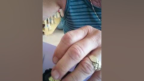 Suunto Vyper Air, Vytec, Cobra, Gekko Battery Change, Wymiana Baterii, batteriewechsel.