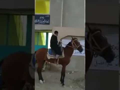 احتفال نادي مدينة البصيلية الرياضي بذكرى ثورة 30 يونيو 