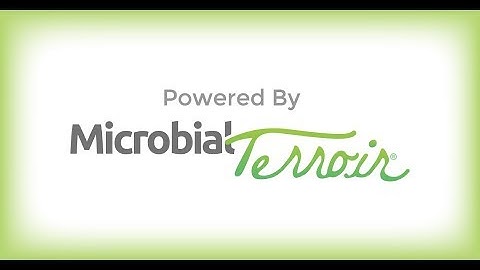 Introducing: Microbial Terroir.