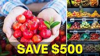 These 9 Fruit Bushes Produce MORE Food Than Trees — Plant Once, Harvest for Decades!