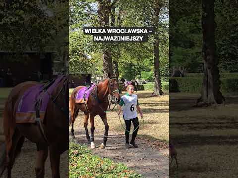 Rejestracja i Weryfikacja Konta