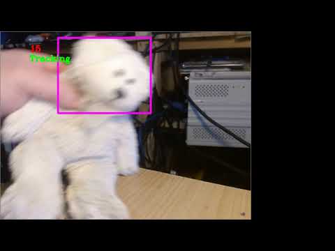 Teddy Bear Facial Tracking Version 2, CSRT in openCV