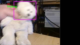 Teddy Bear Facial Tracking Version 2, CSRT in openCV