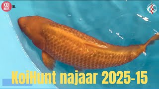 Koihunt najaar 2025 deel 15