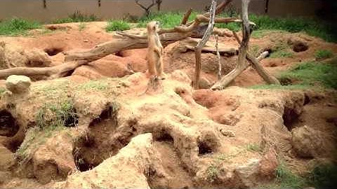 Headless Ghost - Out (Official Video) ©Tamed musiq 2013