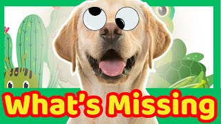 What is Missing? -  Guessing Game for kids #green