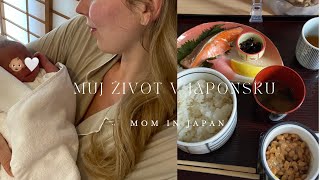 Můj život v Japonsku │ Vlog z Tokijské porodnice