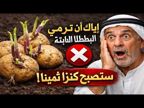 فيديو هل نبتت البطاطا لديك؟ إياك أن ترميها!