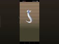 Pokémon Go Hatching Dratini And Bunnelby From Egg Pokémon Go Hatching Dratini And Bunnelby From Egg
