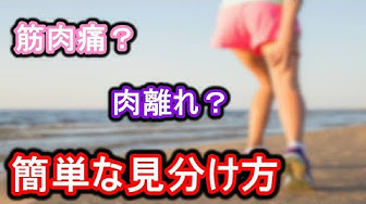 肉離れ Youtube