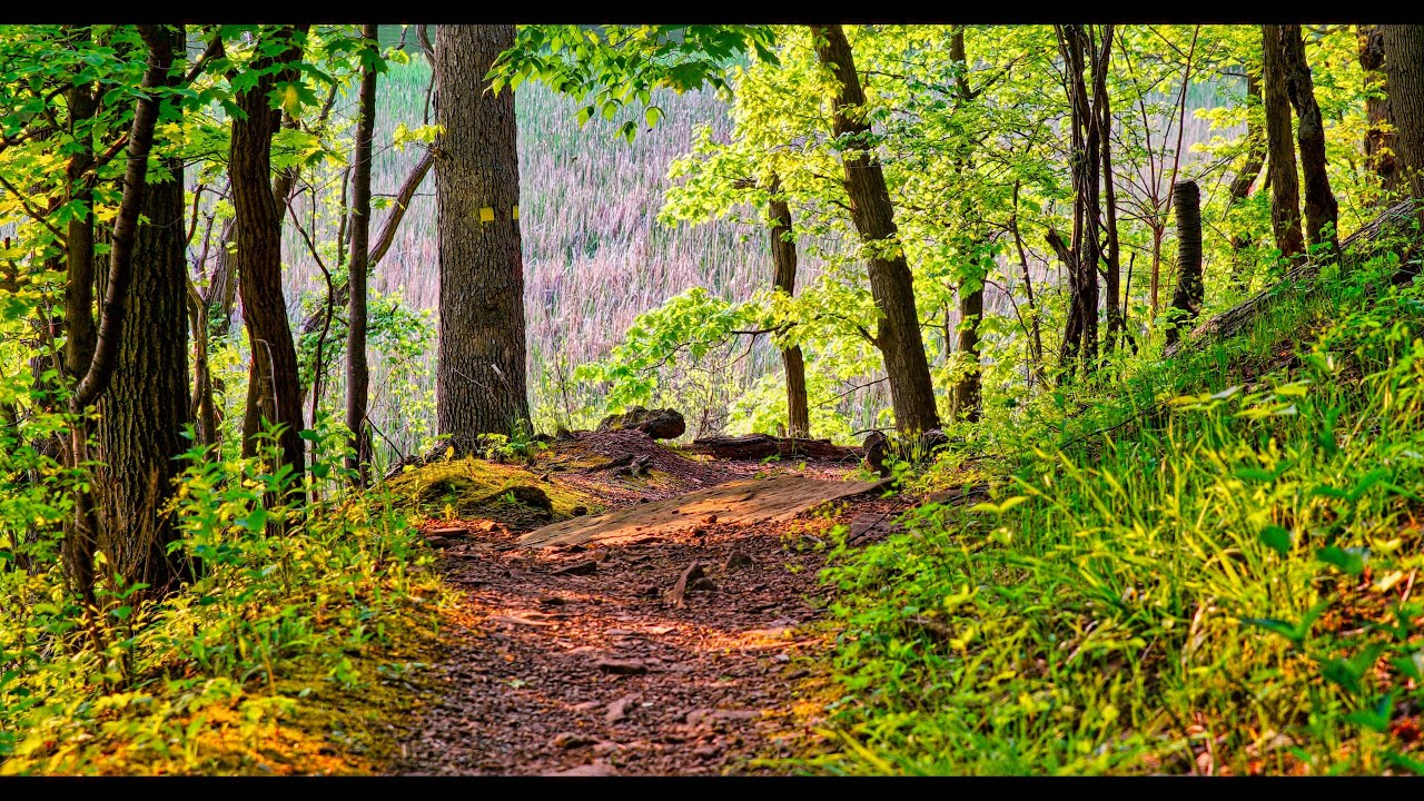 A Seneca Park Brief Tour | Exploring Rochester's Natural Gem