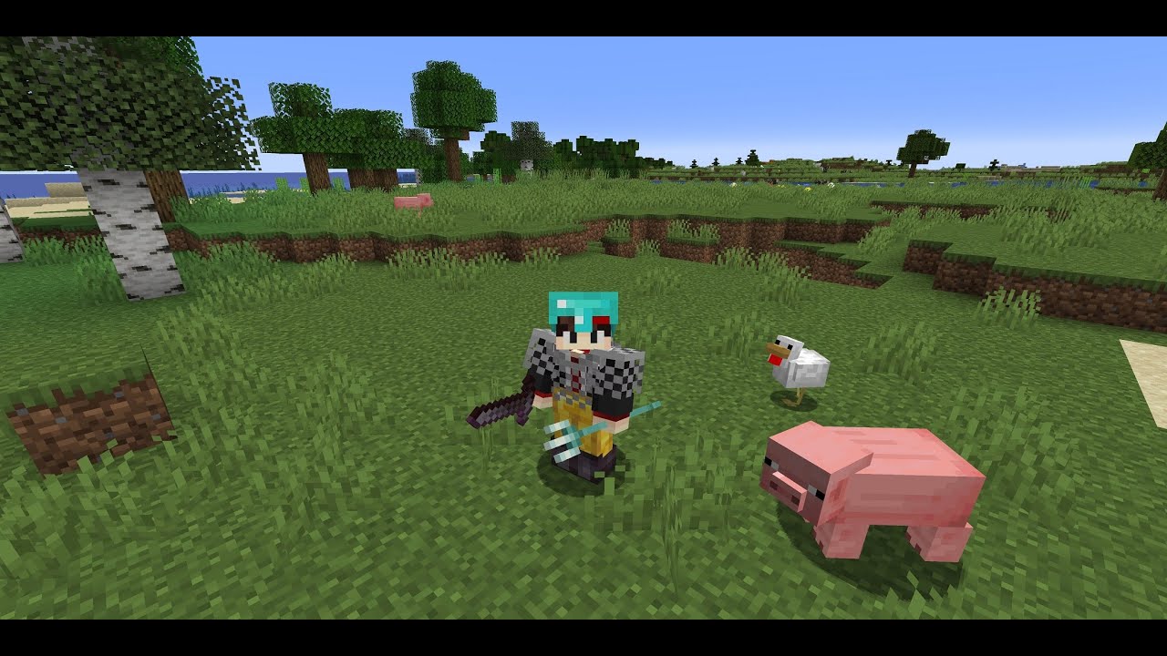 Let The Chaos Begin! (Random Life SMP #1)