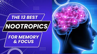 The 13 Best Nootropics For Memory & Focusnootropicsbestbrain