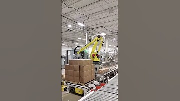 Automated Packing & Palletizing System