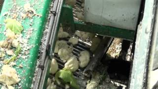 Floretting machine in-field - cauliflower and broccoli | Sweere