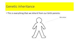 Health & Social Care Lesson 1 Component 3