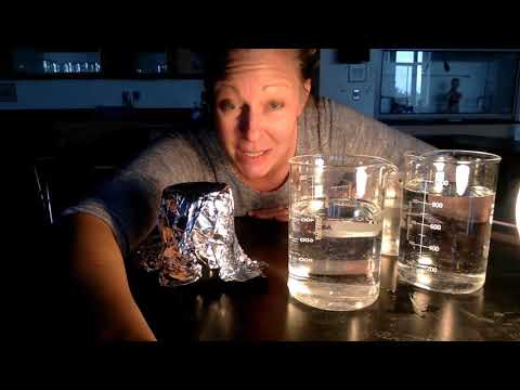 AP Bio: Photosynthesis Lab