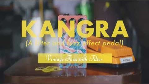 Walrus Audio Pedal Play: Kangra Filter Fuzz - Thick, vintage fuzz
