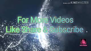 Fishing Rod Reel Spinning Wheel Leo Gf1000 Metalic Unboxing