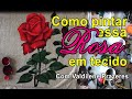 Como pintar rosas em tecido