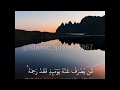 Sura al anaam  voice in english translation
