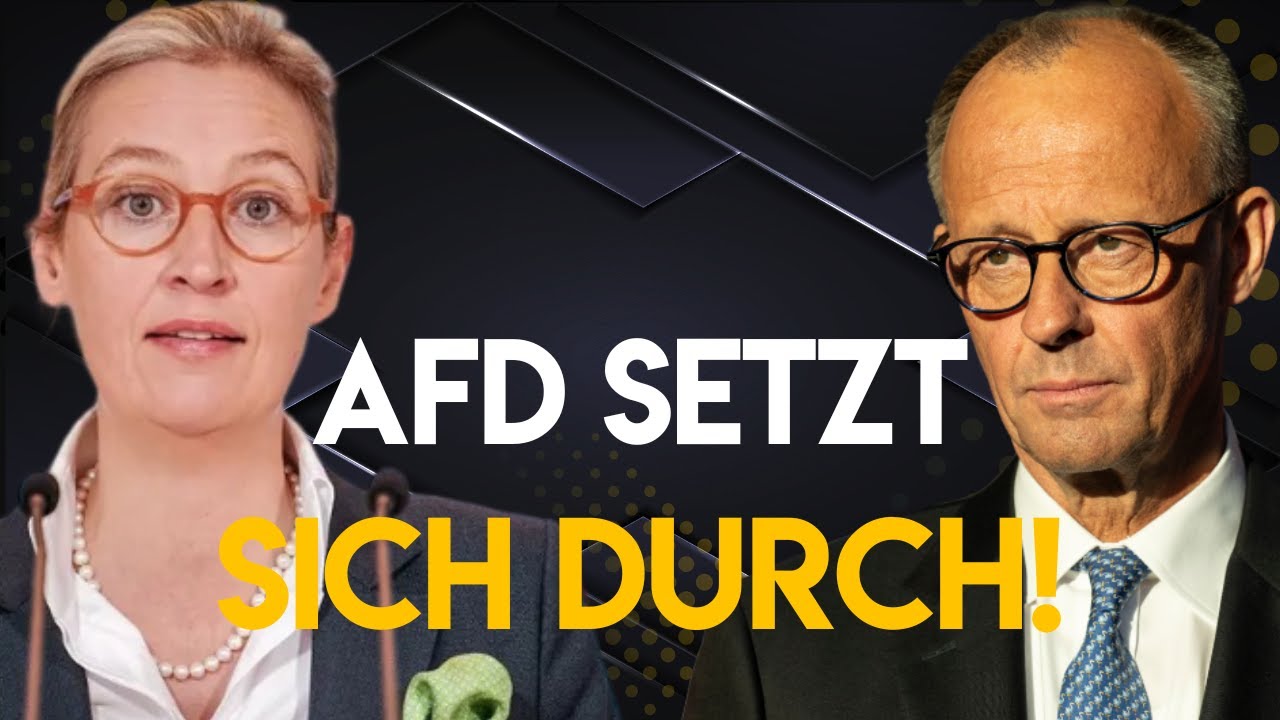 Totaler Rückschlag für Altparteien: AfD siegt vor Gericht