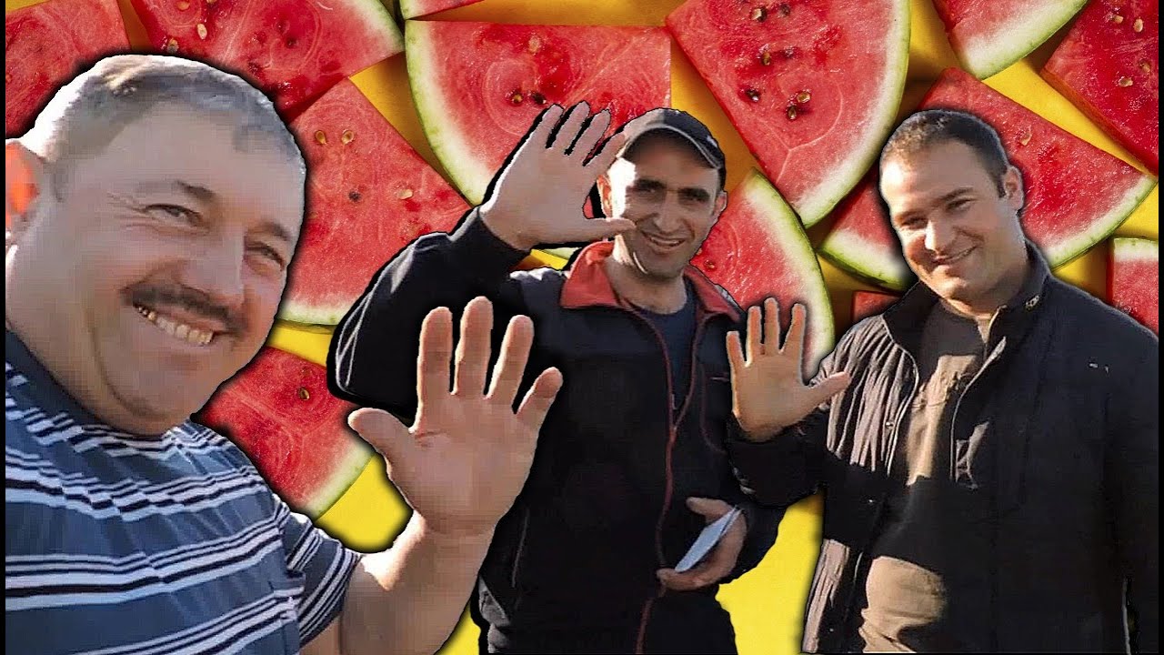 Новый Гибрид Эпика - F1 от Clause. Где мы берем Семена? - Отвечаем