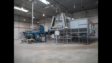 1844-50: Haith Group onion sorting and packaging line