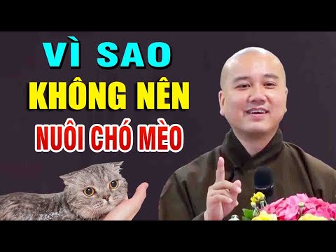 Video: Hành tây có hại cho chó không?