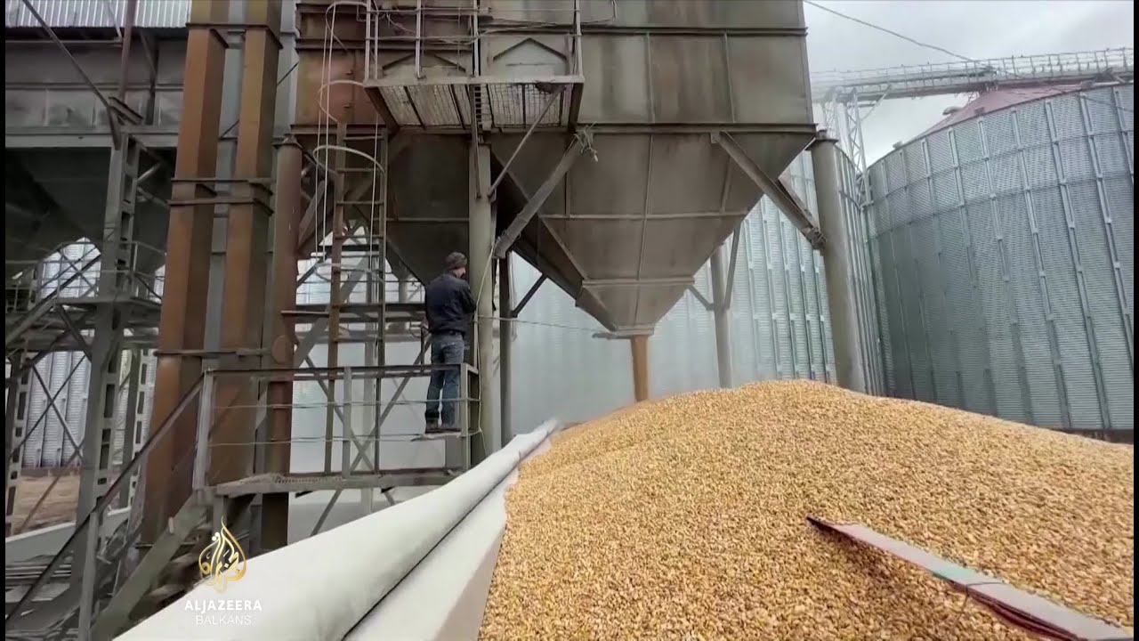 يستمر عبور الحبوب الأوكرانية عبر بولندا