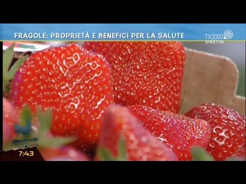 Video: Fragole: Benefici E Rischi Per La Salute