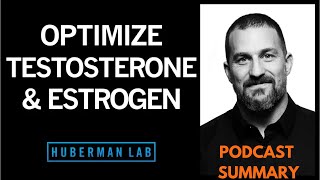 Huberman Lab Podcast Episode 15 :- How To Optimize Testosterone & Estrogen | PODCAST SUMMARY