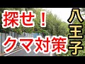 探せ！クマ撃退グッズ🐻【東京都八王子市】