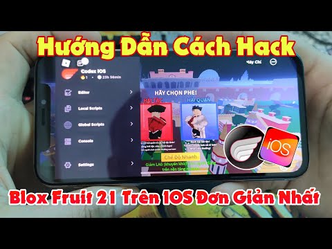 Update Code X V2.622 IPA hack  Blox Fruit 21Trên Iphone thành công 100% #hackbloxfruits #hackroblox