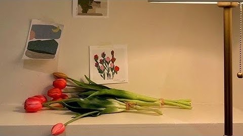 اغمض عينيك و ارح سمعك .. تلاوة هادئة تريح القلب و السمع🌸 (سورة البقرة...)