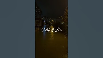 #القرآن_الكريم يا ليتها كانت القاضية بصوت الشيخ محمد اللحيدان #تلاوة_خاشعة جدا ومبكية 🥺