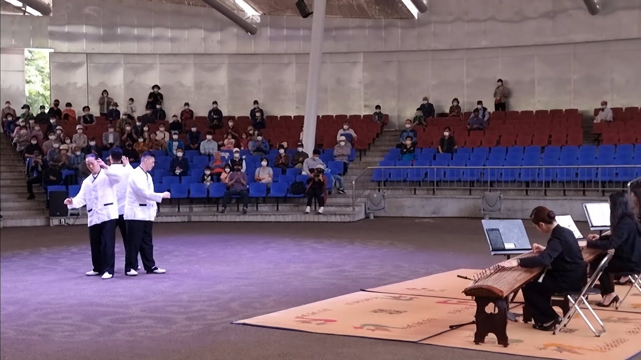 UNIQUE FUSION MUSIC & DANCE PERFORMANCE. AROUND LOTTE WORLD.