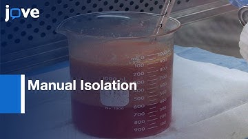 Manual Isolation Of Adipose-Derived Stem Cells From Human Lipoaspirates l Protocol Preview