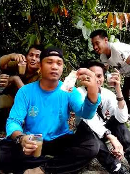 Lucu luwak white kopi