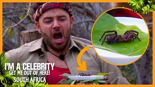 Adam Thomas CAN’T STOP GAGGING! Final Disgusting Eating Trial | I'm A Celebrity... South Africa 2026