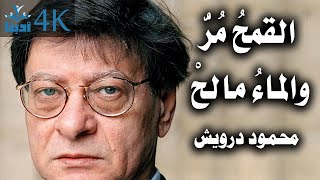 القمحٌ مر والماء مالح | محمود درويش Mahmoud Darwish