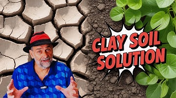Can GYPSUM Really Save Your CLAY SOIL?