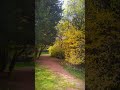 приказна есен на Аязмото