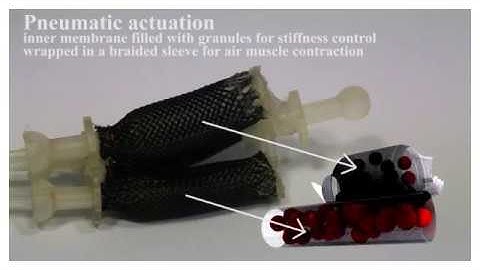 Granular Jamming with Composite Granules, Coupled Membranes, and Pneumatic Actuators