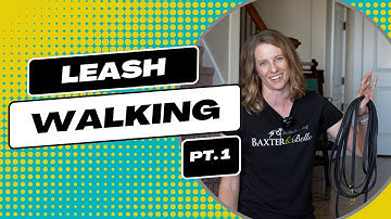 Leash Walking Part 1: The Basics